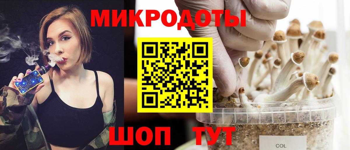 Псилоцибиновые грибы Psilocybine cubensis Шебекино